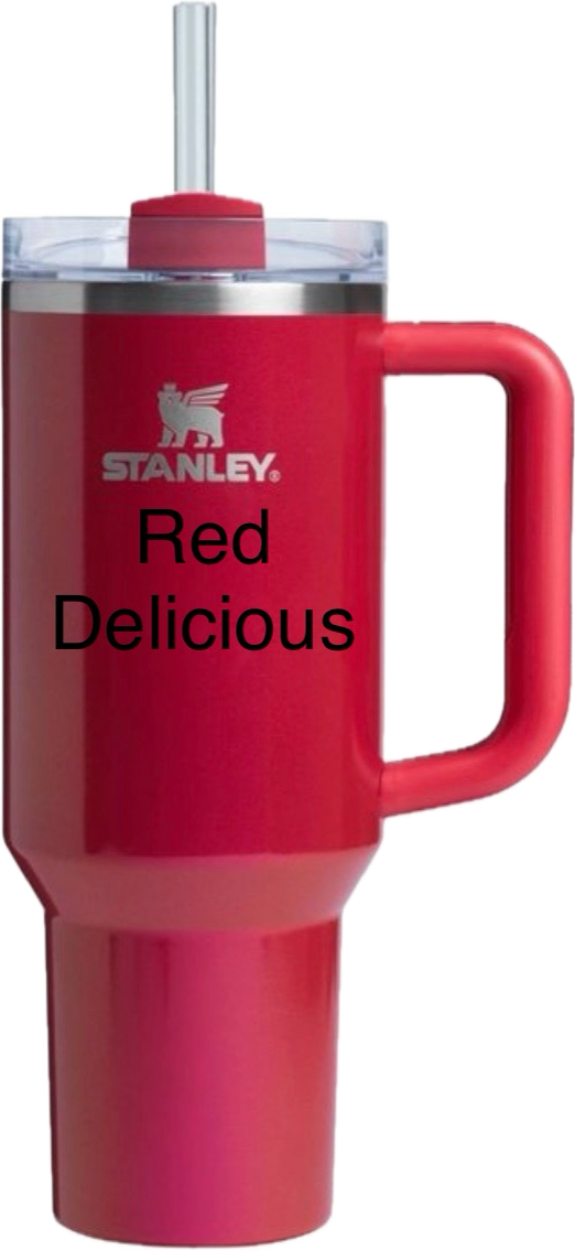 Stanley 40oz Quencher