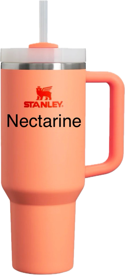 Stanley 40oz Quencher